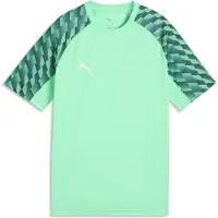 Puma Unisexe, T-shirt de sport, teamLIGA26 Jersey Jr (164), Blanc, Vert