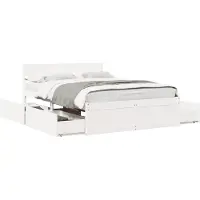 vidaXL Lit en bois massif sans matelas Blanc 120x200 cm pin