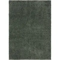 Interiyou Tapis à poils longs lavable Sofia Vert clair 133 x 190 cm