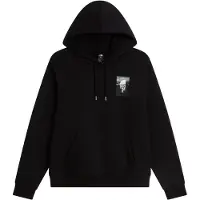 The North Face Apex 75 Collage Relaxed Hoodie Noir S Homme