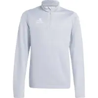 Adidas T-Shirt fonctionnel 'Entrada 26' gris argenté