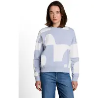 Tom Tailor DENIM Sweat-shirt bleu-gris / blanc