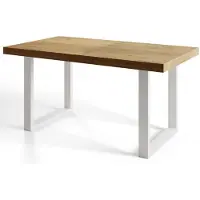 Alpi Möbel Table de Salle à Manger 140x80x77cm, Lefkas, Pieds en Métal