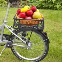 Merkloos Porte-vélos universel avec panier en métal