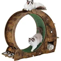 StarTech.com Roue d'exercice pour chats - Roue d'entraînement multifonctionnelle (6 en 1) - Idéale pour les chats d'appartement - Avec gamelles - Griffoir - Refuge - Silencieuse - Marron