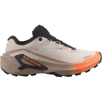 Salomon Femmes, Chaussures de course à pied, Chaussures de course Genesis 2 GTX W (39 1/3), Marron