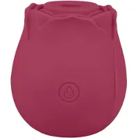 EIS Blush&Bloom - stimulateur vibrant à succion (rouge)