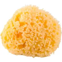 Rotho Babydesign Éponge de bain naturelle,