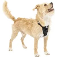 Kurgo Tru-fit Smart Dog Harness Noir S