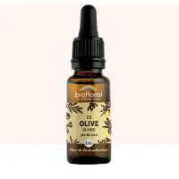 Biofloral 23 - Olive - Olivier - 20 ml 20 ml Goutte(S)