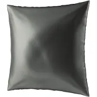 Ailoria BEAUTY SLEEP Housse d'oreiller en soie à fermeture éclair (65x65) (anthracite) (Taie d’oreiller, 65 x 65 cm)