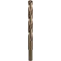 Bosch 2609255085 - FORETS MP