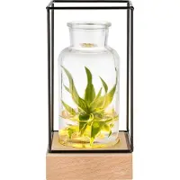 GADGY Vase avec éclairage LED - Vase lampe - Vase en verre avec lampe - Cadeau de fête des mères - Hydroponique - Fonctionne avec des piles - Lampe de table - Ø11cm