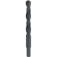 Bosch 2609255025 - FORETS MP