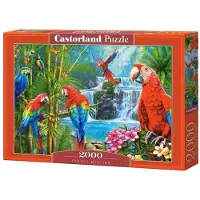 Castorland Puzzle Réunion de Perroquets - 2000 pièces