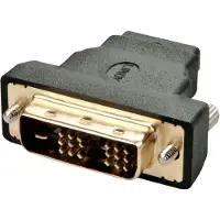 Lindy 41228 changeur de genre de câble HDMI-A FM DVI-D M Noir