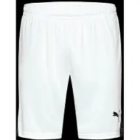 Puma Pantalon de sport 'teamLIGA26' noir / blanc