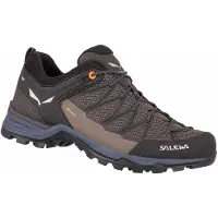 Salewa Chaussures de randonnée MS MTN Trainer Lite GTX