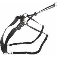 Kerbl Harnais d'éducation MAXI LEADER, taille 2, noir