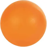 Trixie Grosse Balle Dure Caoutchouc 85 Mm