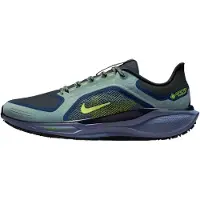 Nike Chaussures de running Pegasus 41 Gore-Tex