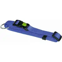 Kerbl Collier Miami (Chien, Général, Promenade)