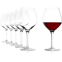 Stölzle Verres à vin rouge Lausitz Exquisit, modèle Burgunder, capacité 650 ml, coffret de 6 pièces