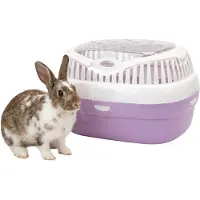 Ferplast Cage de transport pour hamsters et autres petits rongeurs, modèle Aladino, grande taille, voyage