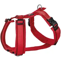 Lucky-Pet Gepolstertes Hundegeschirr Y-Comfort (S, Chien, Général)