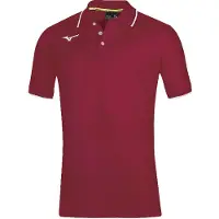 Mizuno Polo Team