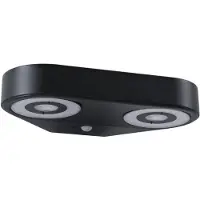 Paulmann LED Applique murale d'extérieur Silma Détecteur de mouvement àcrépusculaire (IR)