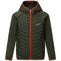 Regatta Andreson Jacket Vert 10 Years Enfants
