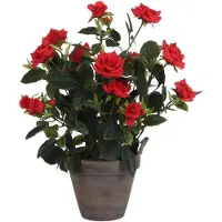 Mica Rosier Artificiel