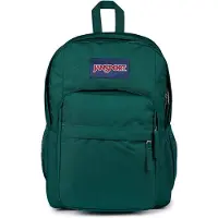 JanSport sac d'école sac à dos Big Day Backpack Deep Juniper vert sapin