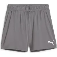 Puma Femmes, Bas de sport, teamGOAL Short de Handball W (L), Gris