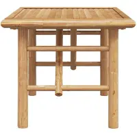 vidaXL Table basse marron 70 x 40 x 36 cm bambou