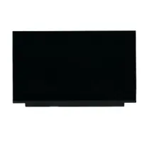 Lenovo of SD10Q67002 (AUO 15.6 FHD IPS AG 250nit 45%CG 3.2t, Pièce de rechange pour ordinateur portable, Noir