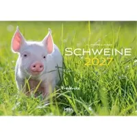 Sonstige Verlage Calendriers porcs pour 2027