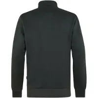 Petrol Industries Veste de survêtement 'Forgeline' graphite