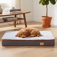 Bingopaw WISFOR, lit orthopédique pour chien, tapis de sol pour chien, coussin moelleux et stable – housse amovible et lavable, taille M : 80 x 50 x 8 cm