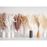 Sonstiges Bouquet d'herbe de la pampa séchée 128 PCS pour les mariages et les fêtes