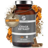 QIDOSHA Complément alimentaire Chaga extract, 120 gélules