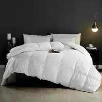 Merkloos Couette 100% coton pour lit double, anti-acariens et hypoallergénique