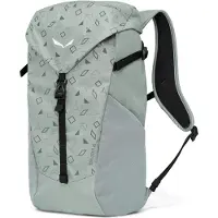 Salewa Sac à dos de sport gris clair