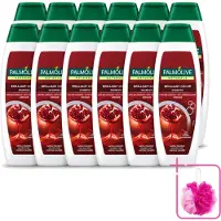 Palmolive 12 flacons de shampooing Naturals Brilliant Color, pour cheveux colorés, 350 ml - Pack économique - 12 pièces