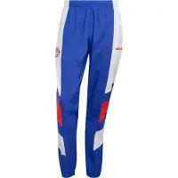 Adidas Pantalon de sport 'FC Bayern' rouge / blanc
