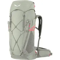 Salewa Sac à dos de sport gris