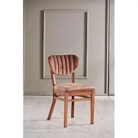 AEA Stühle Holz Holzstuhl Design Luxus Stuhl Esszimmerstuhl Modern Stoff