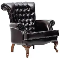 Xl Moebel Gmbh Sessel Ohrensessel 1 Sitzer Sofa Couch Polster Couchen Leder