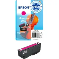 Epson 250 (C13T16N34010) - Magenta - Cartouche d'encre